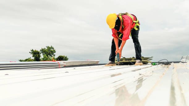 Best Gutter Installation and Repair  in Shawnee Hills, OH
